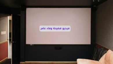 فيديو سكس وفاء عامر كامل