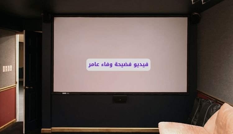 فيديو سكس وفاء عامر كامل